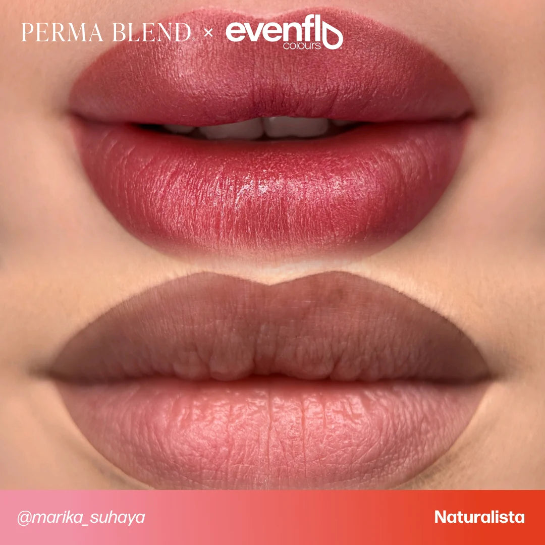 Evenflo- Naturalista