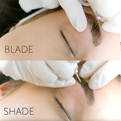 Blade & Shade Video Tutorial