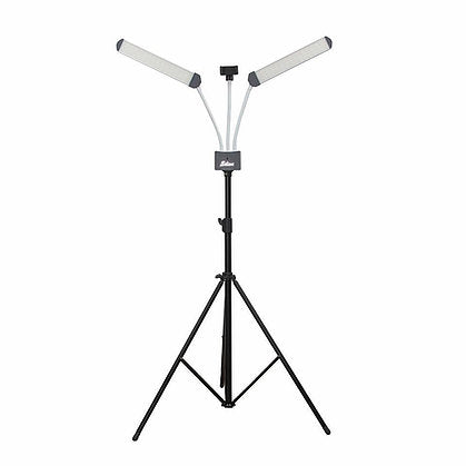 Dual LED Light